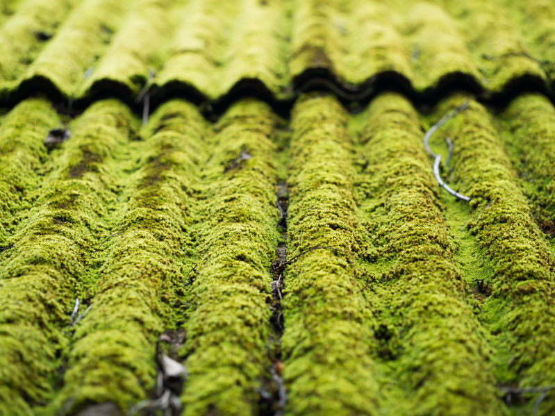 Démoussage et traitement anti-mousse de toiture dans le Var (83)
